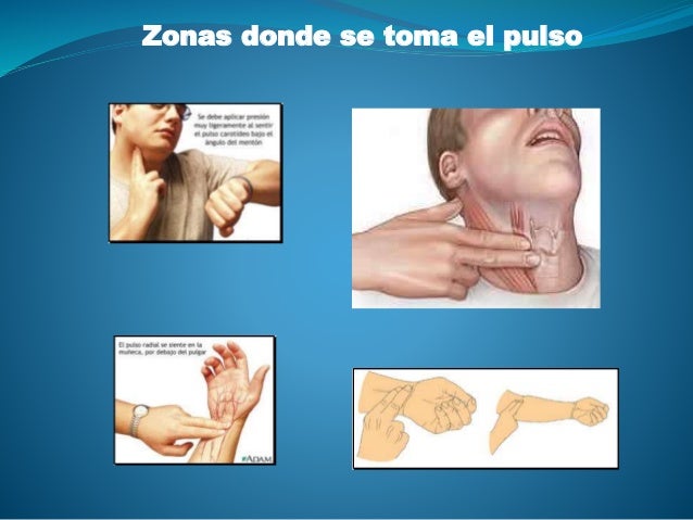 Fisiologia expo frecuencia cardiaca