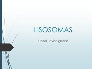LISOSOMAS
César Javier Iglesias
 