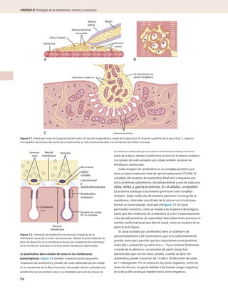 fisiologia guyton y hall.14va edición libro | PDF