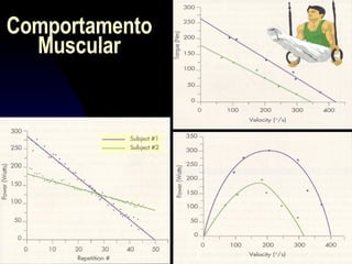Comportamento Muscular 