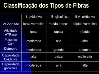 Classificação dos Tipos de Fibras alta alta moderada Capacidade glicolítica muito alta baixa alta Capacidade Oxidativa pequeno grande moderado Diâmetro alto alto moderado Pulso de Ca ++ rápida rápida lenta Atividade ATPase rápida vermelha rápida branca lenta vermelha Velocidade II A  oxidativa II B  glicolítica I  oxidativa 