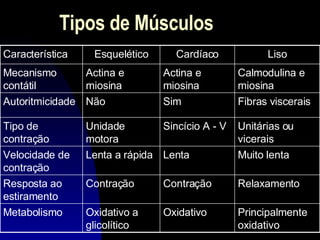 Tipos de Músculos Liso Cardíaco Esquelético Característica Principalmente oxidativo Oxidativo Oxidativo a glicolítico Metabolismo Relaxamento Contração Contração Resposta ao estiramento Muito lenta Lenta Lenta a rápida Velocidade de contração Unitárias ou vicerais Sincício A - V Unidade motora Tipo de contração Fibras viscerais Sim  Não Autoritmicidade Calmodulina e miosina Actina e miosina Actina e miosina Mecanismo contátil 