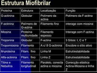Estrutura Miofibrilar Conecção elástica Actina-Miosina e linha Z Paralelo, conecta actina e miosina Filamento longitudinal Titina e Nebulina Estrut/estabilidade Linha Z Filam.  fino Alfa-actinina Estrut/estabilidade Linha M Filam.  fino M-proteína Encobre o sítio ativo A c/ 8 G-actinina Filamento Tropomiosina 3 Sítios: I, C e T F-actina Globular Troponina Interage com F-actina Filamento espesso Proteína multiunidade Miosina interage com miosina  Filamento fino Polímero de G-actina F-actinina Polímero da F-actina Polímero da actina Globular G-actinina Função Localização Estrutura Proteína 