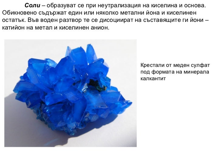 Физиология на растителната клетка