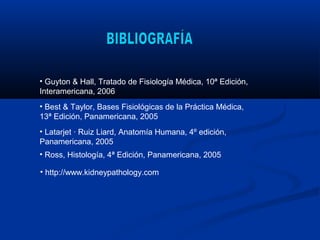 • Guyton & Hall, Tratado de Fisiología Médica, 10ª Edición,
Interamericana, 2006
• Best & Taylor, Bases Fisiológicas de la Práctica Médica,
13ª Edición, Panamericana, 2005
• Latarjet · Ruiz Liard, Anatomía Humana, 4º edición,
Panamericana, 2005
• Ross, Histología, 4ª Edición, Panamericana, 2005
• http://www.kidneypathology.com
 