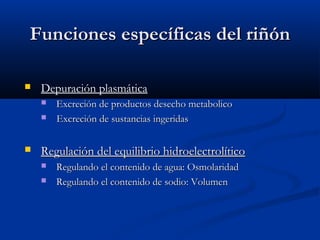 Funciones específicas del riñónFunciones específicas del riñón
 Depuración plasmática
 Excreción de productos desecho metabolicoExcreción de productos desecho metabolico
 Excreción de sustancias ingeridasExcreción de sustancias ingeridas
 Regulación del equilibrio hidroelectrolíticoRegulación del equilibrio hidroelectrolítico
 Regulando el contenido de agua: OsmolaridadRegulando el contenido de agua: Osmolaridad
 Regulando el contenido de sodio: VolumenRegulando el contenido de sodio: Volumen
 