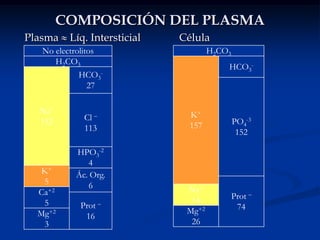 Filtrado del plasma