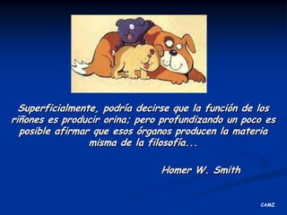 Superficialmente, podría decirse que la función de los riñones es producir orina; pero profundizando un poco es posible afirmar que esos órganos producen la materia misma de la filosofía...Homer W. Smith CAMZ