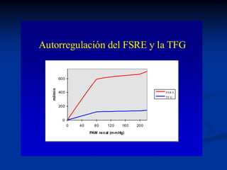 T. Contorneado Distal