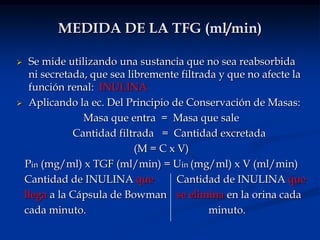 Volumen de orina =  1.5 L/día