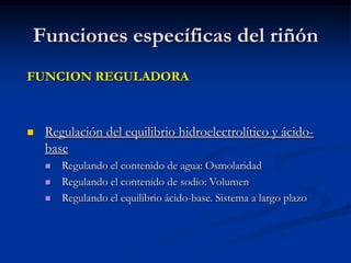 Abundantes capilares.