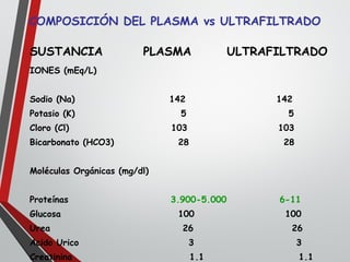 SUSTANCIA PLASMA ULTRAFILTRADO
IONES (mEq/L)
Sodio (Na) 142 142
Potasio (K) 5 5
Cloro (Cl) 103 103
Bicarbonato (HCO3) 28 28
Moléculas Orgánicas (mg/dl)
Proteínas 3.900-5.000 6-11
Glucosa 100 100
Urea 26 26
Acido Urico 3 3
Creatinina 1.1 1.1
COMPOSICIÓN DEL PLASMA vs ULTRAFILTRADO
 