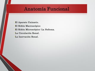 El Aparato Uninario.
El Riñón Macroscópico
El Riñón Microscópico: La Nefrona.
La Circulación Renal.
La Inervación Renal.
 