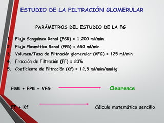ESTUDIO DE LA FILTRACIÓN GLOMERULAR
PARÁMETROS DEL ESTUDIO DE LA FG
1. Flujo Sanguíneo Renal (FSR) = 1.200 ml/min
2. Flujo Plasmático Renal (FPR) = 650 ml/min
3. Volumen/Tasa de Filtración glomerular (VFG) = 125 ml/min
4. Fracción de Filtración (FF) = 20%
5. Coeficiente de Filtración (Kf) = 12,5 ml/min/mmHg
FSR + FPR + VFG Clearence
FF + Kf Cálculo matemático sencillo
 