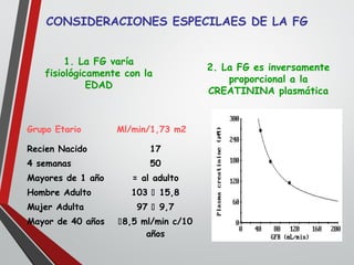 CONSIDERACIONES ESPECILAES DE LA FG
Grupo Etario Ml/min/1,73 m2
Recien Nacido
4 semanas
Mayores de 1 año
Hombre Adulto
Mujer Adulta
Mayor de 40 años
17
50
= al adulto
103  15,8
97  9,7
8,5 ml/min c/10
años
1. La FG varía
fisiológicamente con la
EDAD
2. La FG es inversamente
proporcional a la
CREATININA plasmática
 