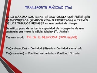 TRANSPORTE MÁXIMO (Tm)
ES LA MÁXIMA CANTIDAD DE SUSTANCIA QUE PUEDE SER
TRANSPORTADA (REABSORVIDA O EXCRETADA) A TRAVÉS
DE LOS TÚBULOS RENALES en una unidad de tiempo
Se utiliza para detectar la capacidad de transporte de una
sustancia que tiene la célula tubular (T. Activo)
Tm más usado: Tm de la GLUCOSA (320 mg/dl)
Tm(reabsorción) = Cantidad filtrada – Cantidad excretada
Tm(excreción) = Cantidad excretada – Cantidad filtrada
 
