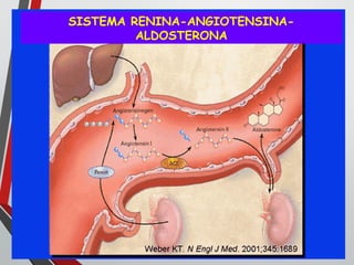 SISTEMA RENINA-ANGIOTENSINA-
ALDOSTERONA
 