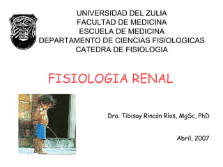 UNIVERSIDAD DEL ZULIA FACULTAD DE MEDICINA ESCUELA DE MEDICINA DEPARTAMENTO DE CIENCIAS FISIOLOGICAS CATEDRA DE FISIOLOGIA FISIOLOGIA RENAL Dra. Tibisay Rincón Ríos, MgSc, PhD Abril, 2007 