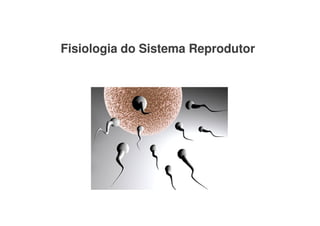 Fisiologia
Fisiologia do
do Sistema
Sistema Reprodutor
Reprodutor
Fisiologia
Fisiologia do
do Sistema
Sistema Reprodutor
Reprodutor
 