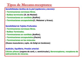 Tipos de Mecano-receptores: Sensibilidades táctiles de la piel (epidermis y dermis): Terminaciones nerviosas libres. Bulbos terminales  (D. de Meckel) Terminaciones en ramillete  (Ruffini) Terminaciones encapsuladas (C. Meissner y Kraus). Sensibilidad de Tejidos Profundos: Terminaciones nerviosas libres. Bulbos Terminales. Terminaciones en ramillete  (Ruffini). Terminaciones encapsuladas .(Pacini) Terminaciones en los músculos  (Husos musculares y apto. de Golgi en tendones) Audición, Equilibrio, Presión arterial: Células pilosas  (organo de corti, c. semicircular),  Baroreceptores, receptores de estiramiento de visceras. 