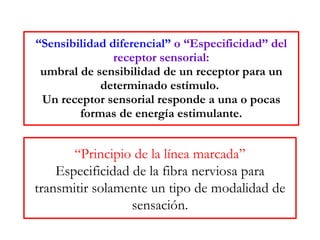 “ Sensibilidad diferencial”   o “Especificidad” del receptor sensorial: umbral de sensibilidad de un receptor para un determinado estímulo.   Un receptor sensorial responde a una o pocas formas de energía estimulante. “ Principio de la línea marcada” Especificidad de la fibra nerviosa para transmitir solamente un tipo de modalidad de sensación. 
