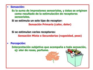Sensación: Es la suma de impresiones sensoriales, y éstas se originan como resultado de la estimulación de receptores sensoriales.  Si se estimula un solo tipo de receptor: Sensación Primaria (calor, dolor) Si se estimulan varios receptores: Sensación Mixta o Secundarias (rugosidad, peso) Percepción: Interpretación subjetiva que acompaña a toda sensación, ej: olor de rosas, perfume. 