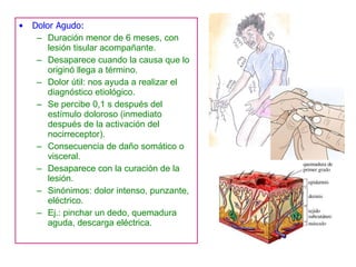Dolor Agudo:  Duración menor de 6 meses, con lesión tisular acompañante. Desaparece cuando la causa que lo originó llega a término. Dolor útil: nos ayuda a realizar el diagnóstico etiológico. Se percibe 0,1 s después del estímulo doloroso (inmediato después de la activación del nocirreceptor). Consecuencia de daño somático o visceral. Desaparece con la curación de la lesión. Sinónimos: dolor intenso, punzante, eléctrico. Ej.: pinchar un dedo, quemadura aguda, descarga eléctrica. 