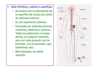 Dolor Periférico, cutáneo o superficial: Se produce por la estimulación de la superficie del cuerpo por acción de estímulos externos.  Es una experiencia cotidiana. Provocado por estímulos térmicos, mecánicos, eléctricos y químicos. Todos los padecemos a lo largo del día, en cualquier momento, pero con corta duración (me he pinchado...me he quemado...qué calambrazo..etc). Bien localizado, de rápida aparición. 