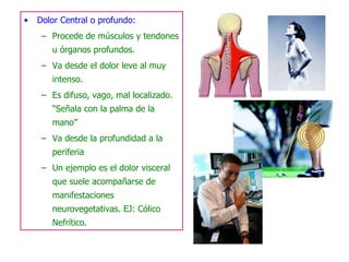 Dolor Central o profundo: Procede de músculos y tendones u órganos profundos. Va desde el dolor leve al muy intenso. Es difuso, vago, mal localizado. “Señala con la palma de la mano” Va desde la profundidad a la periferia Un ejemplo es el dolor visceral que suele acompañarse de manifestaciones neurovegetativas. EJ: Cólico Nefrítico. 