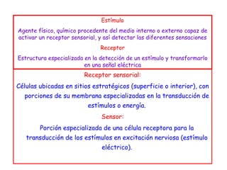 Receptor sensorial: Células ubicadas en sitios estratégicos (superficie o interior), con porciones de su membrana especializadas en la transducción de estímulos o energía. Sensor: Porción especializada de una célula receptora para la transducción de los estímulos en excitación nerviosa (estímulo eléctrico). Estímulo Agente físico, químico procedente del medio interno o externo capaz de activar un receptor sensorial, y así detectar las diferentes sensaciones Receptor Estructura especializada en la detección de un estímulo y transformarlo en una señal eléctrica 