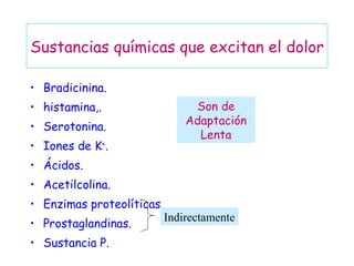 Sustancias químicas que excitan el dolor Bradicinina. histamina,. Serotonina. Iones de K + . Ácidos. Acetilcolina. Enzimas proteolíticas. Prostaglandinas. Sustancia P. Indirectamente Son de Adaptación Lenta 