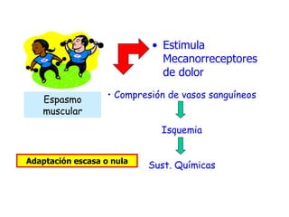 Estimula Mecanorreceptores de dolor Compresión de vasos sanguíneos Isquemia Sust. Químicas Adaptación escasa o nula Espasmo muscular 