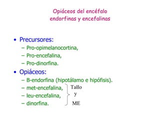 Opiáceos del encéfalo endorfinas y encefalinas Precursores:  Pro-opimelanocortina,  Pro-encefalina,  Pro-dinorfina. Opiáceos:  B-endorfina (hipotálamo e hipófisis).  met-encefalina,  leu-encefalina,  dinorfina. Tallo y  ME 