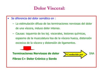 Dolor Visceral: Se diferencia del dolor somático en : La estimulación difusa de las terminaciones nerviosas del dolor de una víscera, induce dolor intenso. Causas: isquemia de los tej. viscerales, lesiones químicas, espasmo de la musculatura lisa de la víscera hueca, distensión excesiva de la víscera y distensión de ligamentos. Terminaciones Nerviosas de dolor   SNA Fibras C= Dolor Crónico y Sordo Conducido por 