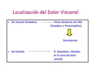 Localización del Dolor Visceral: Vía Visceral Verdadera: Fibras Sensitivas del SNA   (Simpático y Parasimpático) Dermatomas Vía Parietal: N. Raquídeos, ubicados  en la zona del dolor   parietal 