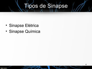 Tipos de Sinapse
• Sinapse Elétrica
• Sinapse Química
4
 