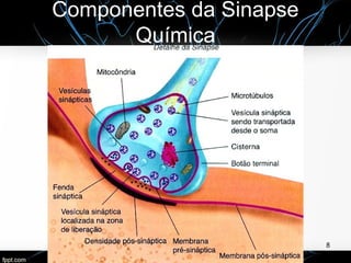 Componentes da Sinapse
Química
8
 