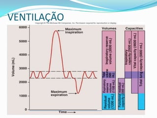 VENTILAÇÃO