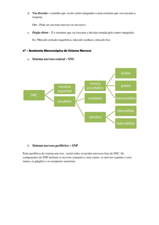 d. Via eferente – caminho que vai do centro integrador a uma estrutura que vai executar a
      resposta.

       Obs.: Pode ser um trato nervoso ou um nervo

   e. Órgão efetor – É a estrutura que vai executar a decisão tomada pelo centro integrador.

       Ex: Músculo estriado esquelético, músculo cardíaco, músculo liso


4° - Anatomia Macroscópica do Sistema Nervoso

   a. Sistema nervoso central – SNC



                                                                                bulbo

                                                      tronco
                            medula                                              ponte
                                                     encefalico
                            espinhal
      SNC
                                                     cerebelo               mesencefalo
                            encéfalo

                                                                             diencéfalo
                                                      cérebro
                                                                             telencêfalo




   b. Sistema nervoso periférico – SNP

Parte periférica do sistema nervoso , inclui todos os tecidos nervosos fora do SNC. Os
componentes do SNP incluem os nervoso cranianos e seus ramos, os nervoso espinais e seus
ramos, os gânglios e os receptores sensoriais.
 
