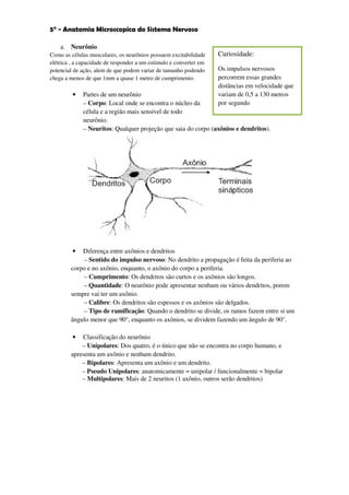 5° - Anatomia Microscopica do Sistema Nervoso

    a. Neurônio
Como as células musculares, os neurônios possuem excitabilidade     Curiosidade:
elétrica , a capacidade de responder a um estimulo e converter em
potencial de ação, alem de que podem variar de tamanho podendo      Os impulsos nervosos
chega a menos de que 1mm a quase 1 metro de cumprimento.            percorrem essas grandes
                                                                    distâncias em velocidade que
         •   Partes de um neurônio                                  variam de 0,5 a 130 metros
             – Corpo: Local onde se encontra o núcleo da            por segundo
             célula e a região mais sensível de todo
             neurônio.
             – Neuritos: Qualquer projeção que saia do corpo (axônios e dendritos).




         •  Diferença entre axônios e dendritos
            – Sentido do impulso nervoso: No dendrito a propagação é feita da periferia ao
        corpo e no axônio, enquanto, o axônio do corpo a periferia.
            – Cumprimento: Os dendritos são curtos e os axônios são longos.
            – Quantidade: O neurônio pode apresentar nenhum ou vários dendritos, porem
        sempre vai ter um axônio.
            – Calibre: Os dendritos são espessos e os axônios são delgados.
            – Tipo de ramificação: Quando o dendrito se divide, os ramos fazem entre si um
        ângulo menor que 90°, enquanto os axônios, se dividem fazendo um ângulo de 90°.

         •  Classificação do neurônio
            – Unipolares: Dos quatro, é o único que não se encontra no corpo humano, e
        apresenta um axônio e nenhum dendrito.
            – Bipolares: Apresenta um axônio e um dendrito.
            – Pseudo Unipolares: anatomicamente = unipolar / funcionalmente = bipolar
            – Multipolares: Mais de 2 neuritos (1 axônio, outros serão dendritos)
 