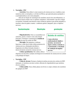 b. Neuróglias - SNC
        – Astrócitos: Esta célula é a mais numerosa do sistema nervoso e também a mais
   numerosa entre as neuroglias,e se divide em fibrosa, que apresenta poucas projeções e
   as protoplasmáticas com varias projeções.
        Alem de ter função de sustentação dos neurônios através dos microfilamentos, os
   astrócitos fazem contato com os capilares sanguíneos, selecionando o que deve chegar
   ao neurônio, formando uma barreira contra sustâncias químicas que pensão prejudicar o
   neurônio; alem de ajudar a manter o ambiente químico adequado para os impulsos
   nervosos.

        Sustentação                     Nutrição                     proteção


        – Oligodendrócitos: Estes se assemelham aos
   astrócitos, porem, é menor e tem como função
                                                       Bainha de mielina
   principal, a formação e manutenção da bainha de     é uma cobertura
   mielina em torno do axônio do SNC.                  multicamada de lipídeo e
        – Micróglia: São pequenas e realizam           proteína em torno de
   fagocitose, sendo desse modo células protetoras do  alguns axônios, isolando-os
   sistema nervoso, eliminando micróbios e             e aumentando a velocidade
   fragmentos de células formadas durante o            de condução do impulso
   desenvolvimento normal do sistema nervoso.          nervoso
        – Células ependimárias: São células cúbicas
   dispostas em uma única camada com função de revestimento do sistema nervoso central
   e de produção do liquor.

c. Neuróglias - SNP
        – Célula de shwann: Formam a bainha de mielina em torno dos axônios do SNP,
   entretanto, só mieliniza um único axônio, diferente do oligodendrócito que mieliniza
   diversos axônios.
        – Célula-satélite: Estas células planas envolvem os corpos celulares dos neurônios
   dos gânglios do SNP
 