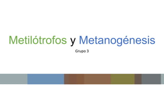 Metilótrofos y Metanogénesis
Grupo 3
 