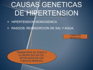 CAUSAS GENETICAS
DE HIPERTENSION
 HIPERTENSION MONOGENICA
 RASGOS: REABSORCION DE SAL Y AGUA.
TUBULOS
RENALES
TRANSPORTE DE SODIO O
CLORURO EN LAS CEL.
EPITELIALES DE LOS
TUBULOS RENALES.
 