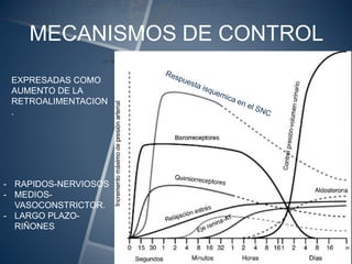 MECANISMOS DE CONTROL
- RAPIDOS-NERVIOSOS
- MEDIOS-
VASOCONSTRICTOR.
- LARGO PLAZO-
RIÑONES
EXPRESADAS COMO
AUMENTO DE LA
RETROALIMENTACION
.
 