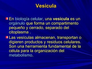 Vesícula

En biología celular, una vesícula es un
orgánulo que forma un compartimento
pequeño y cerrado, separado del
citoplasma .
Las vesículas almacenan, transportan o
digieren productos y residuos celulares.
Son una herramienta fundamental de la
célula para la organización del
metabolismo.
 