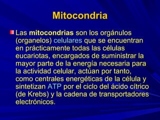 Mitocondria
Las mitocondrias son los orgánulos
(organelos) celulares que se encuentran
en prácticamente todas las células
eucariotas, encargados de suministrar la
mayor parte de la energía necesaria para
la actividad celular, actúan por tanto,
como centrales energéticas de la célula y
sintetizan ATP por el ciclo del ácido cítrico
(de Krebs) y la cadena de transportadores
electrónicos.
 