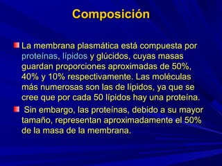 Composición

La membrana plasmática está compuesta por
proteínas, lípidos y glúcidos, cuyas masas
guardan proporciones aproximadas de 50%,
40% y 10% respectivamente. Las moléculas
más numerosas son las de lípidos, ya que se
cree que por cada 50 lípidos hay una proteína.
 Sin embargo, las proteínas, debido a su mayor
tamaño, representan aproximadamente el 50%
de la masa de la membrana.
 