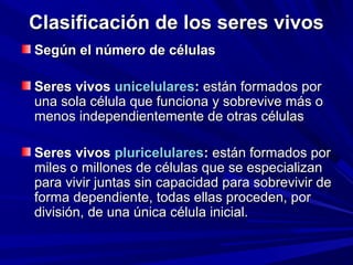 Clasificación de los seres vivos
Según el número de células

Seres vivos unicelulares: están formados por
una sola célula que funciona y sobrevive más o
menos independientemente de otras células

Seres vivos pluricelulares: están formados por
miles o millones de células que se especializan
para vivir juntas sin capacidad para sobrevivir de
forma dependiente, todas ellas proceden, por
división, de una única célula inicial.
 