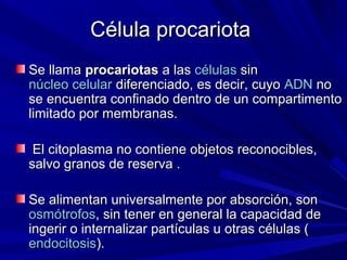 Célula procariota
Se llama procariotas a las células sin
núcleo celular diferenciado, es decir, cuyo ADN no
se encuentra confinado dentro de un compartimento
limitado por membranas.

 El citoplasma no contiene objetos reconocibles,
salvo granos de reserva .

Se alimentan universalmente por absorción, son
osmótrofos, sin tener en general la capacidad de
ingerir o internalizar partículas u otras células (
endocitosis).
 