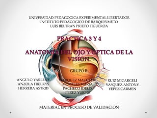 UNIVERSIDAD PEDAGOGICA EXPERIMENTAL LIBERTADOR
INSTITUTO PEDAGOGICO DE BARQUISIMETO
LUIS BELTRAN PRIETO FIGUEROA
MATERIAL EN PROCESO DE VALIDACION
GRUPO B
ANGULO YARLENY
ANZOLA FRELKYS
HERRERA ASTRID
MARQUEZ MACCLERI
MORALES MARIA
PACHECO IDELIS
PEREZ YURBIS
RUIZ MICARGELI
VASQUEZ ANTONY
YEPEZ CARMEN
 